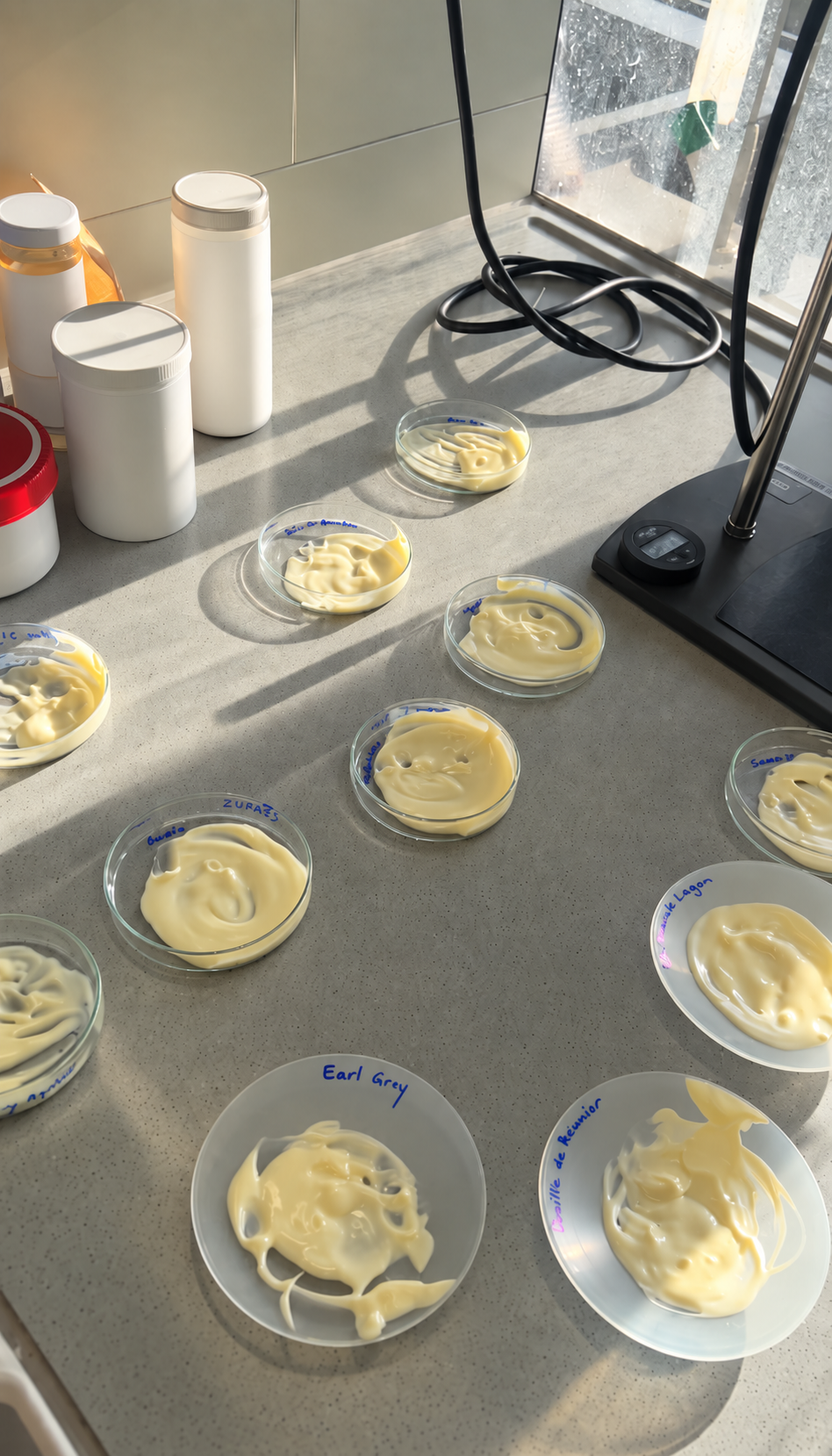 Im Labor stehende Schälchen mit verschiedenen Cremes drauf. Das Team musste sich zwischen den 11 Cremes entscheiden.